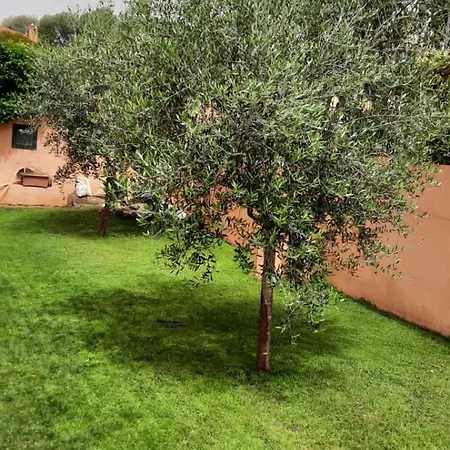 Guoldfirst * 아르바탁스